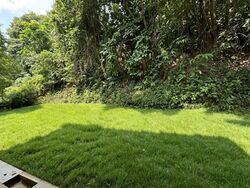 Clementi Park (D21), Detached #562843631